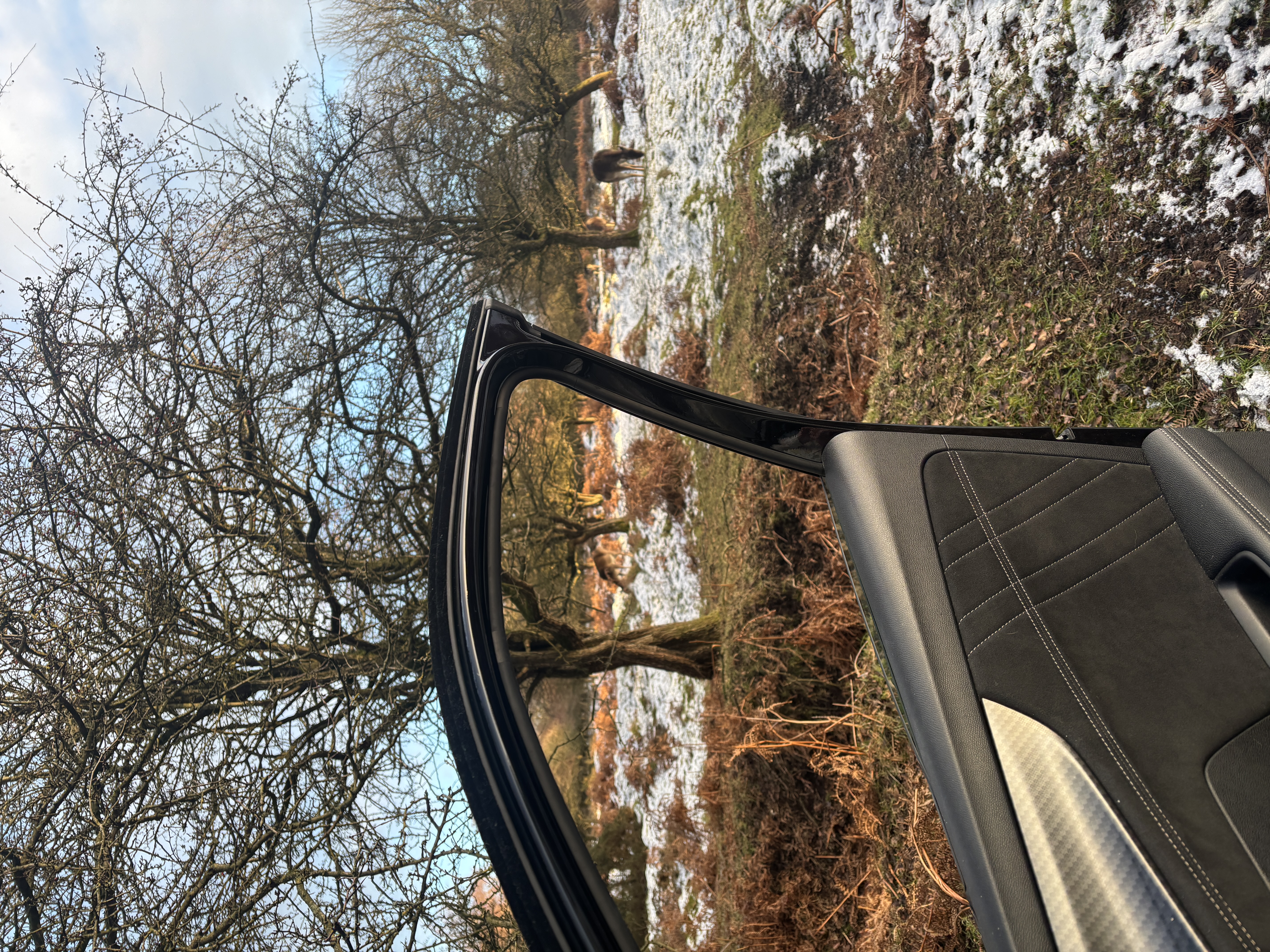 Open car door with deer in the snowy foregraound
