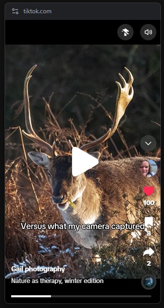 What my phone saw versus what my camera captured