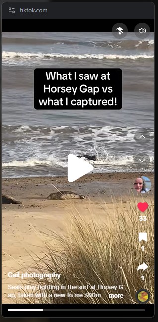 Capturing seals at Horsey Gap
