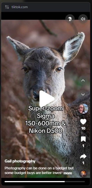 Superzoom versus 300mm Prime lens on a Nikon D500