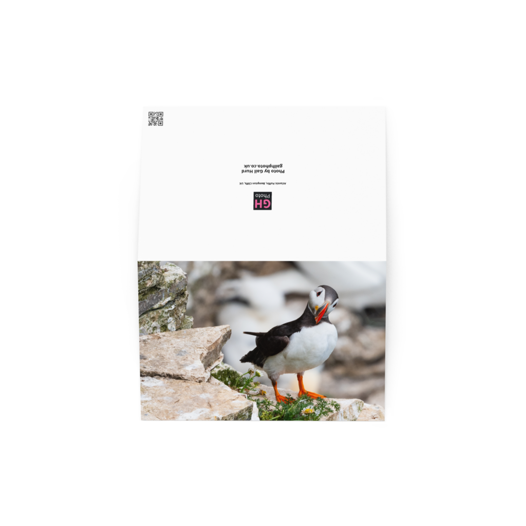 Altlantic Puffin taken at Bempton Cliffs, Yorkshire – Blank Greeting card