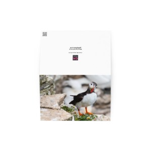 Altlantic Puffin taken at Bempton Cliffs, Yorkshire - Blank Greeting card