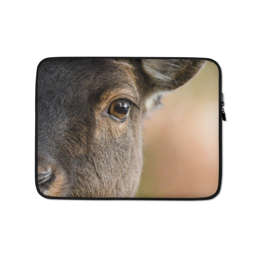Laptop Sleeve